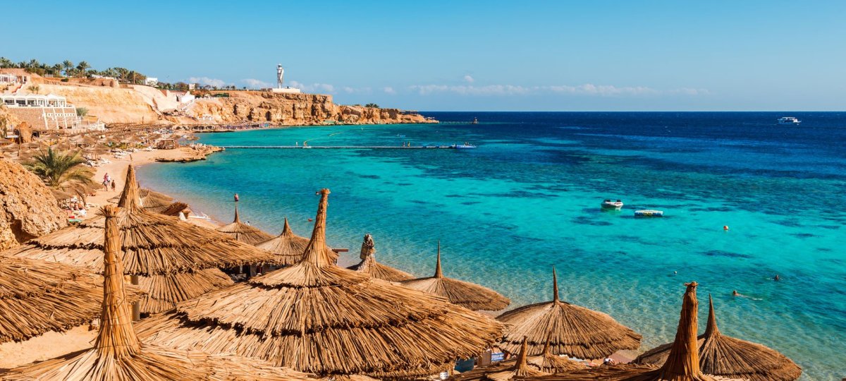 Egypt Шарм Эль Шейх природа