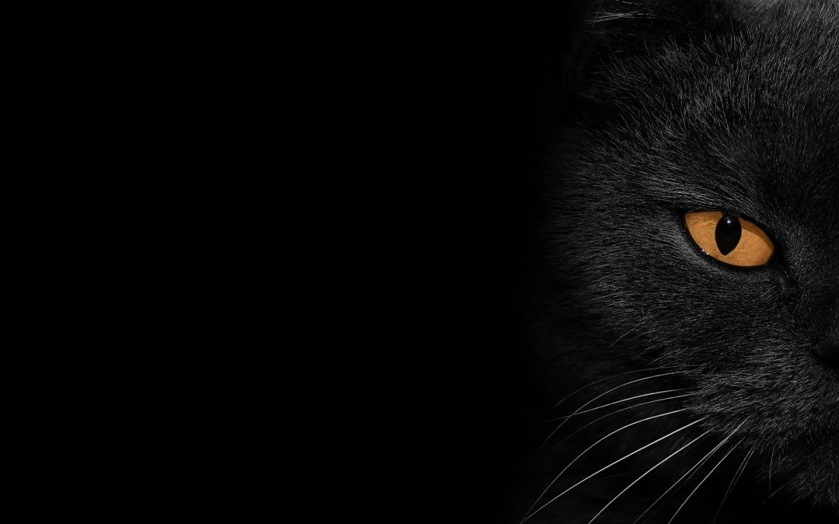 Черные обои