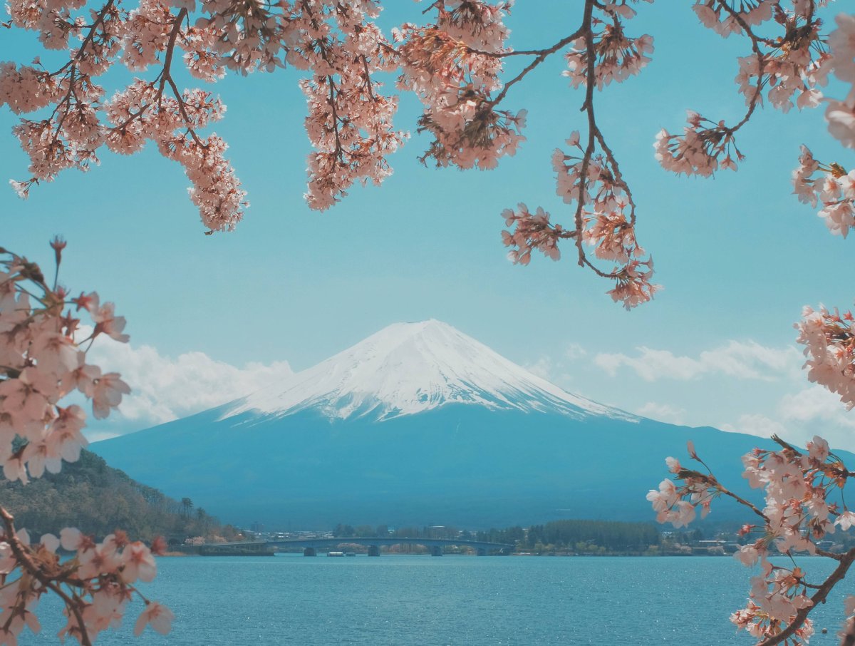 Пейзаж Эстетика