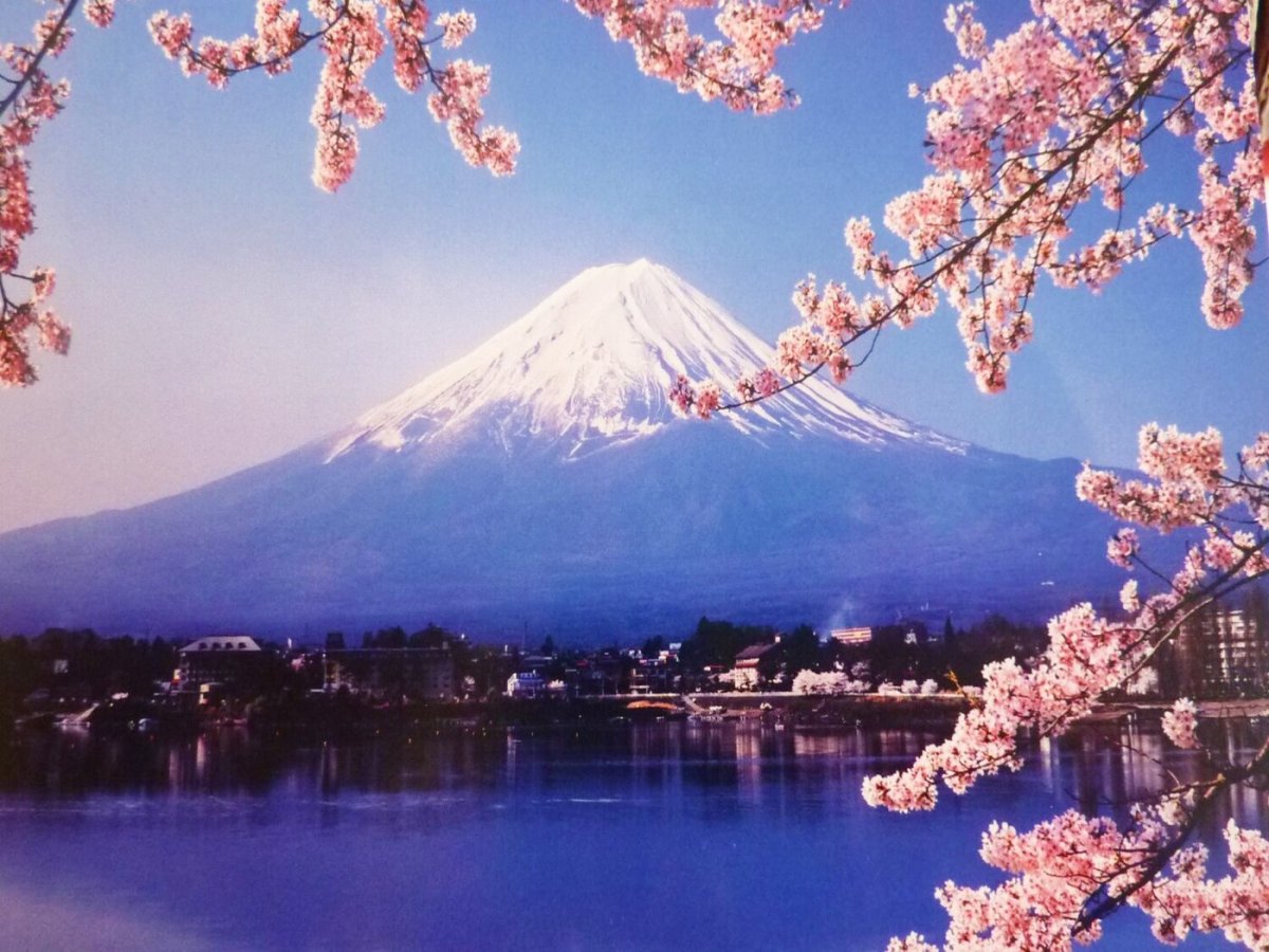 Черри блоссом