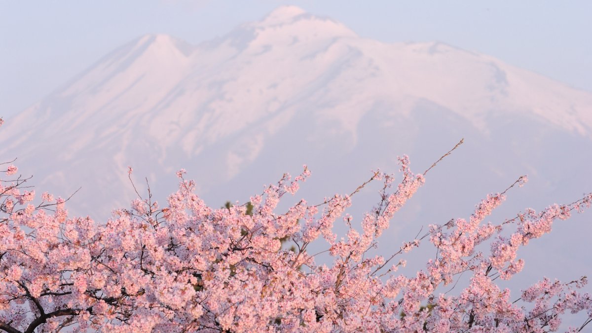 Японский фон