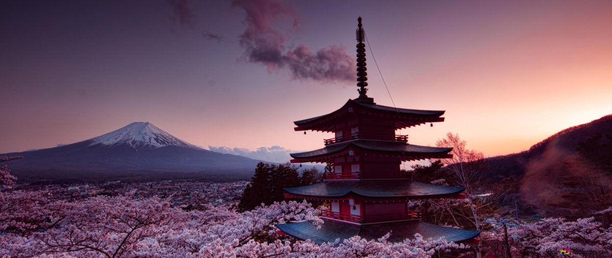 Сакура и горы