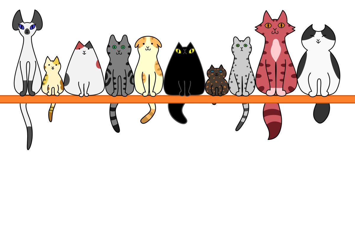 Много нарисованных кошек