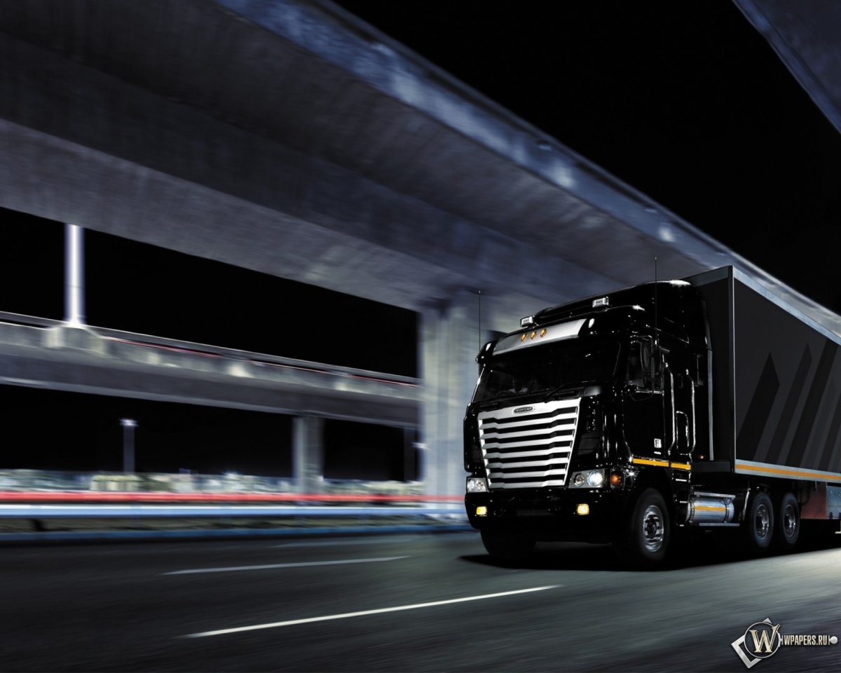 Черная фура