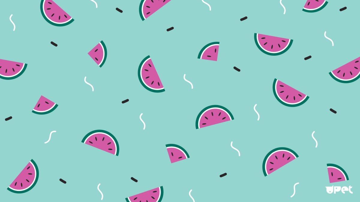 Кот Минимализм