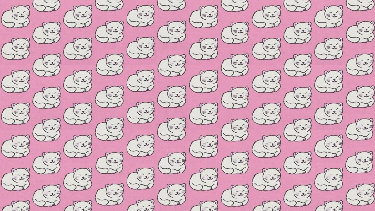 Куроми Санрио фон