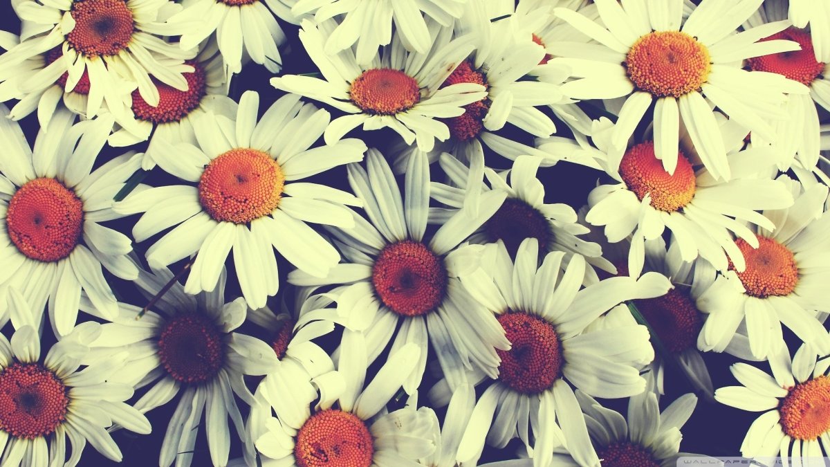 Фон для Аска офигенный