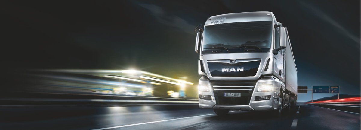 Man TGX individual Lion s