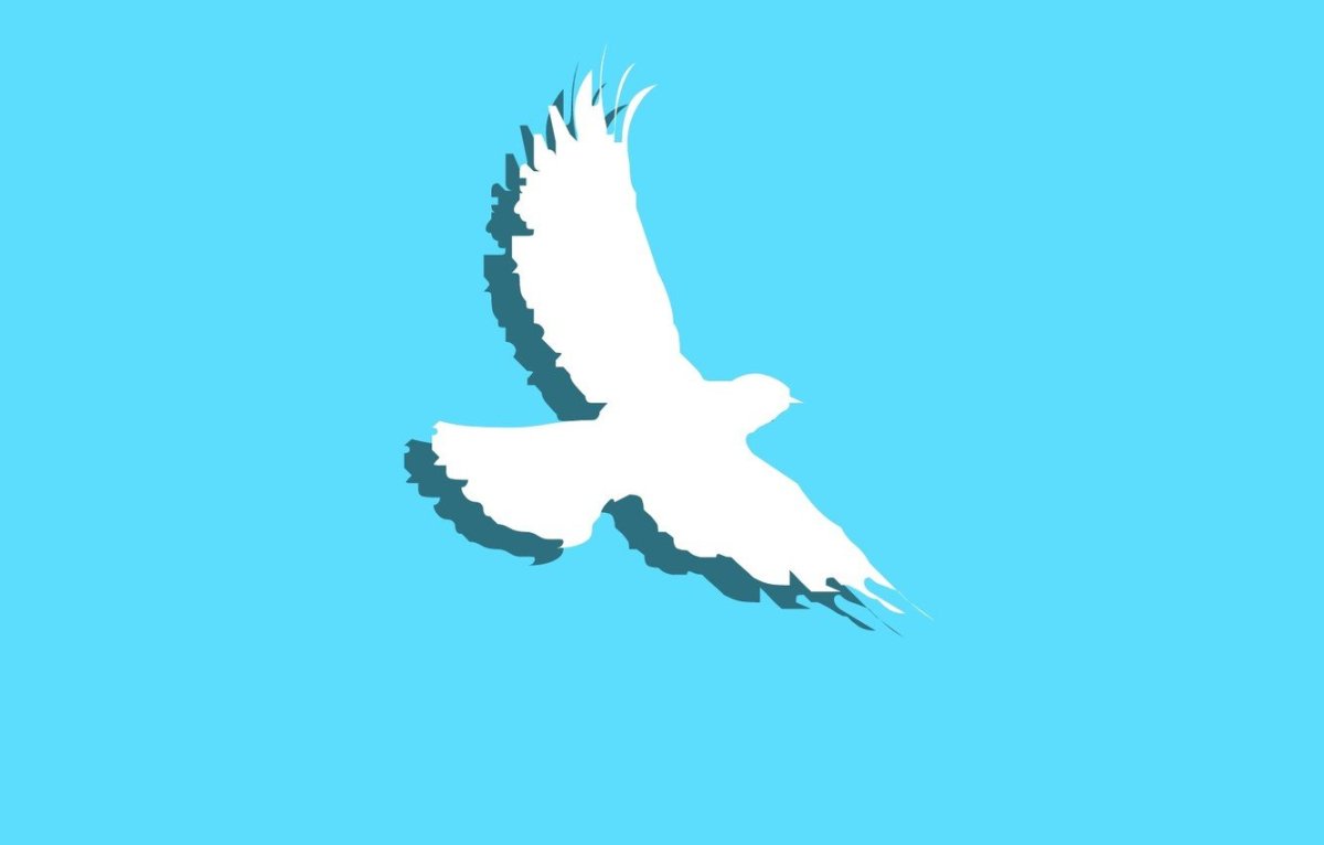 Голубь Минимализм