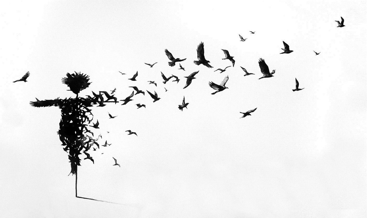 Белый голубь на черном фоне