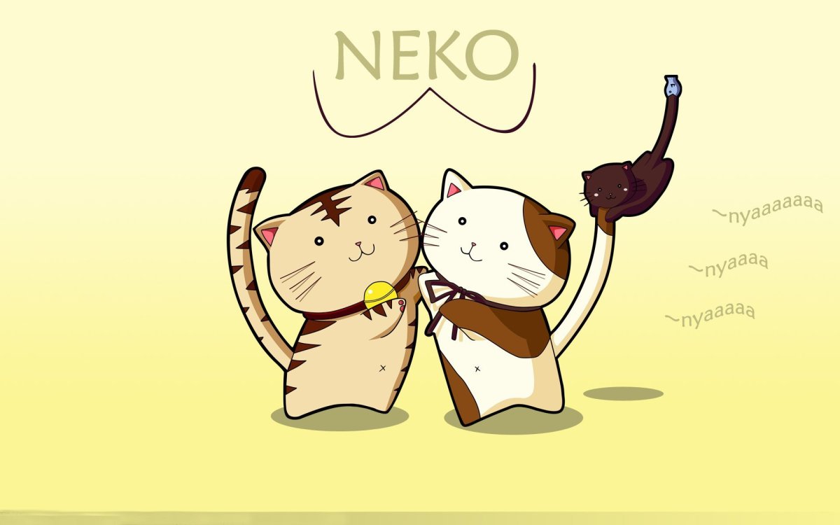 Парные обои с кошками