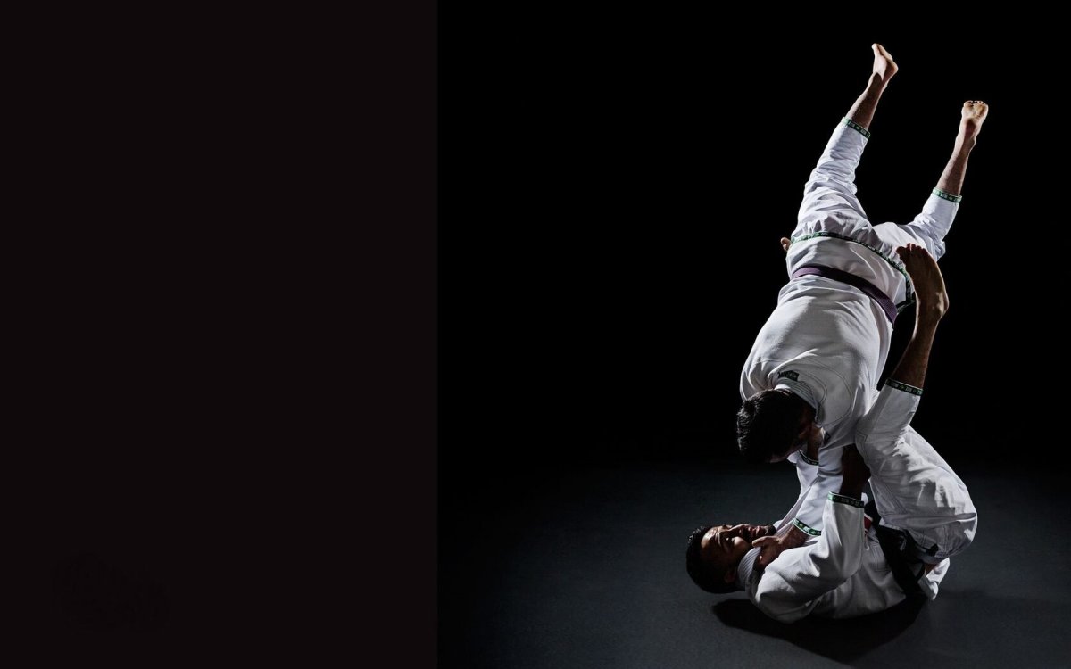 Дзюдо абстракция