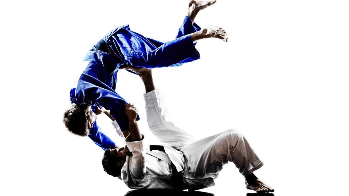 Дзюдо баннер