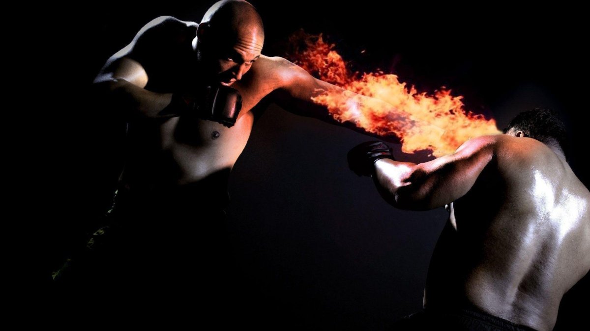 Единоборства на рабочий стол