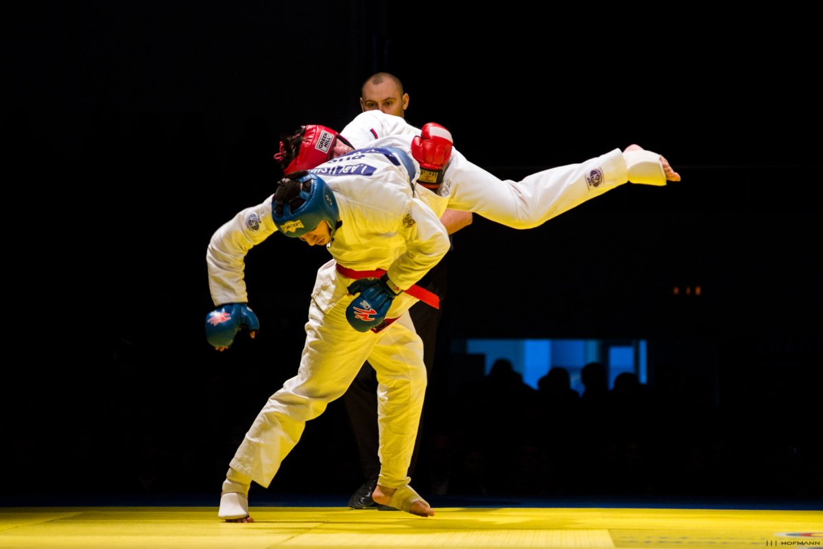 Рукопашный бой