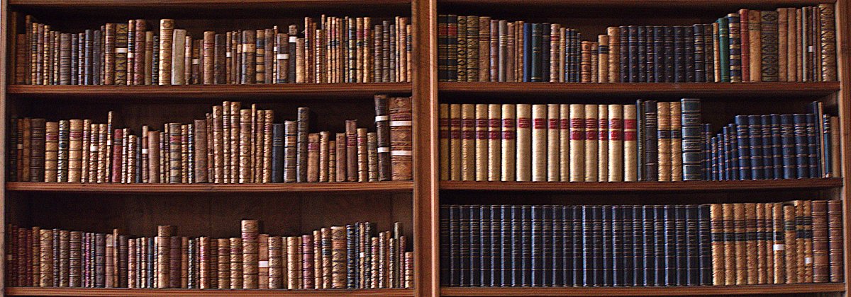 Полка для книг большая