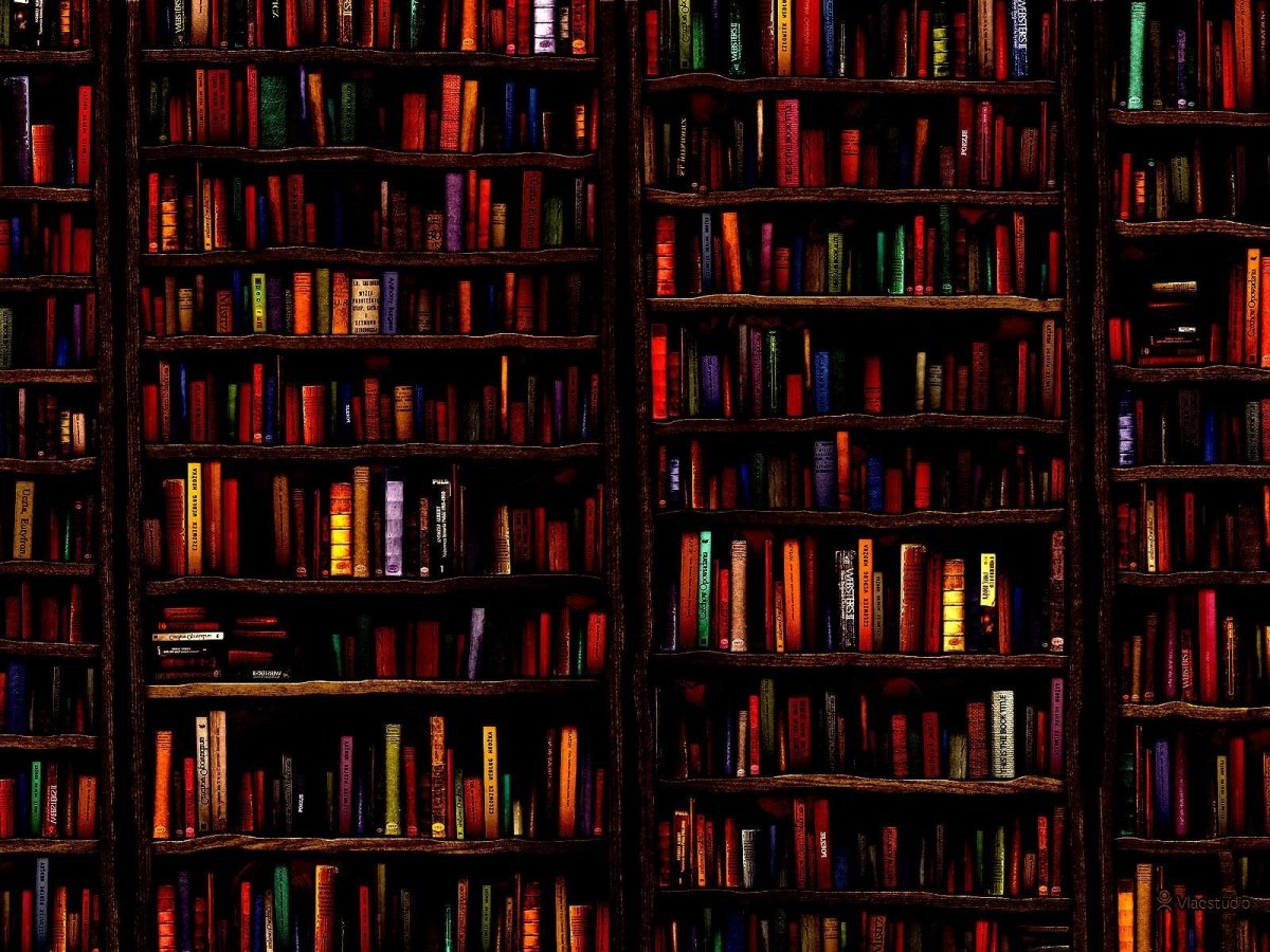 Книжные полки