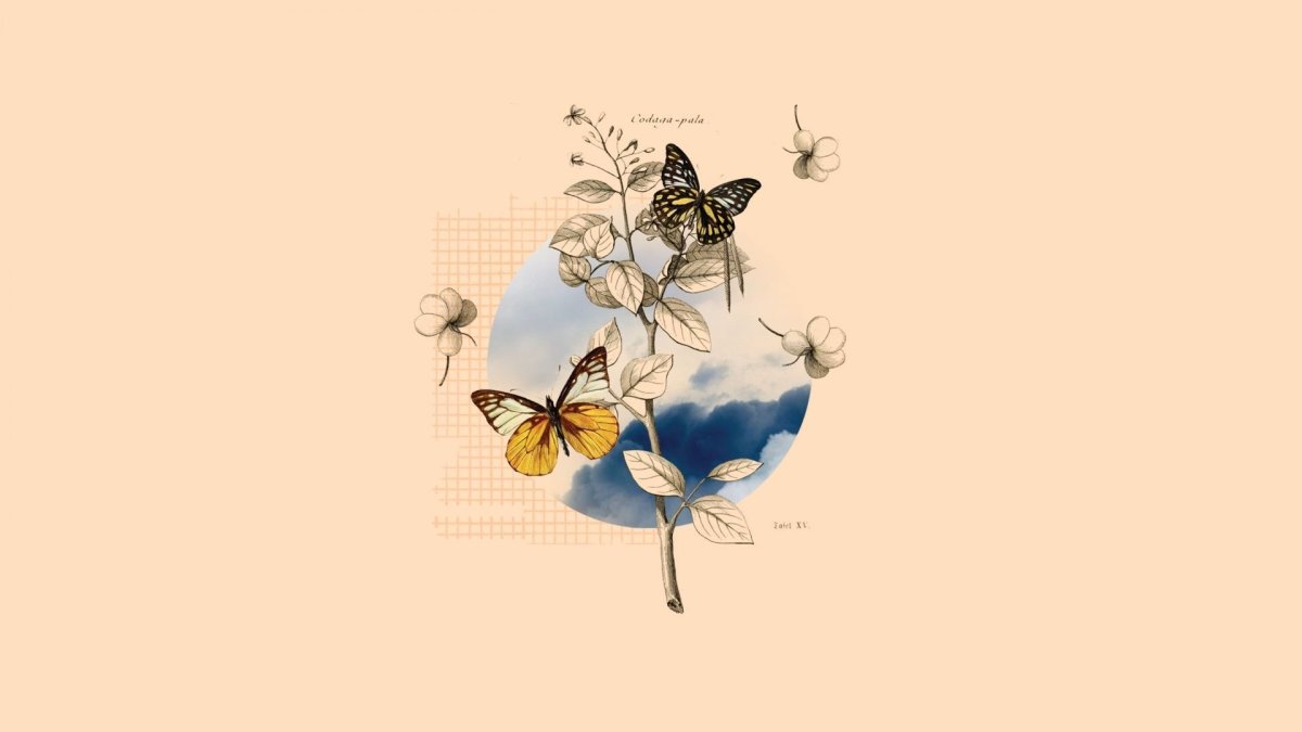 Много бабочек