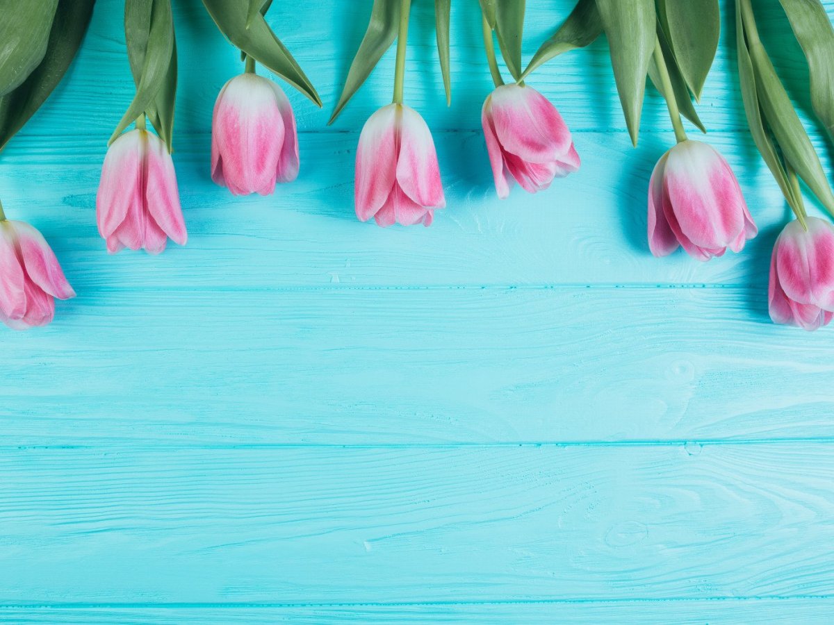 Цветы на бирюзовом фоне