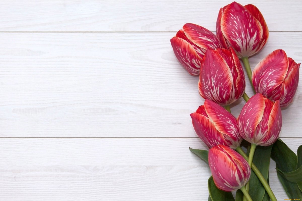 Тюльпаны на деревянном полу