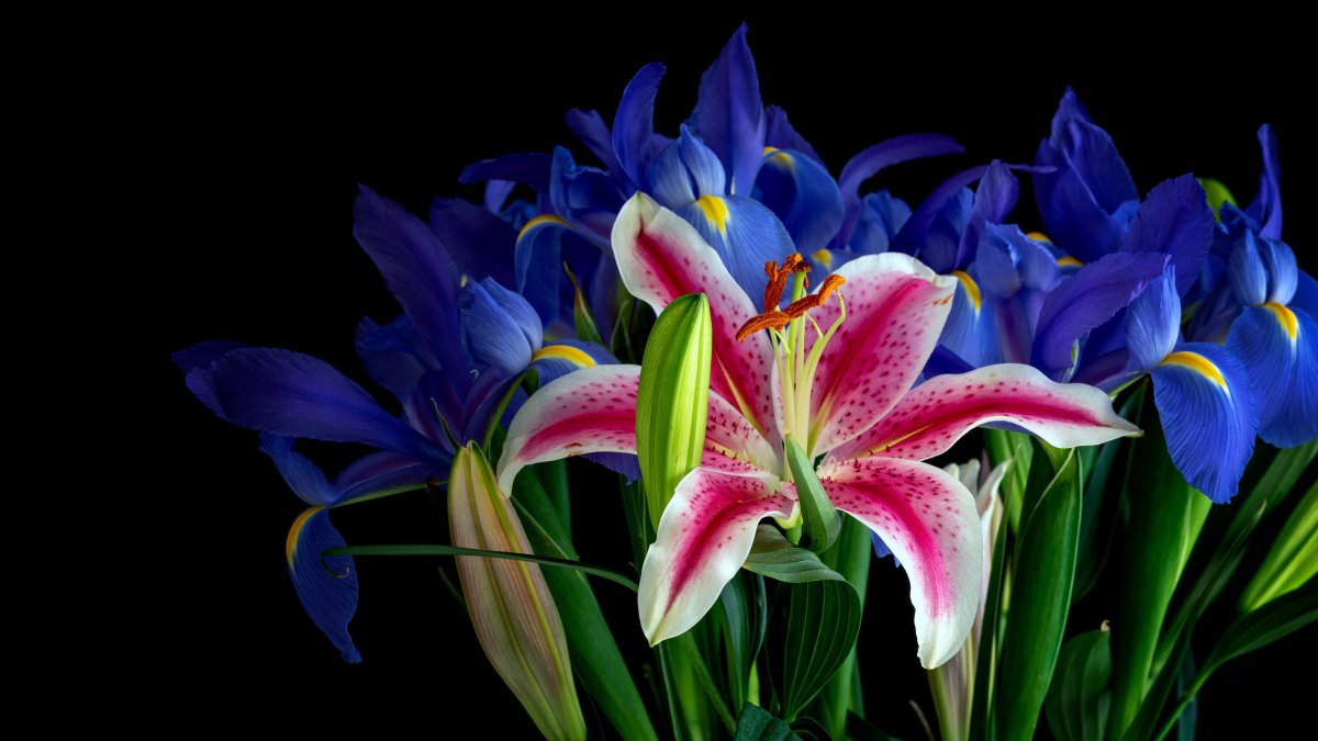 Букет "Лилия и ирисы"