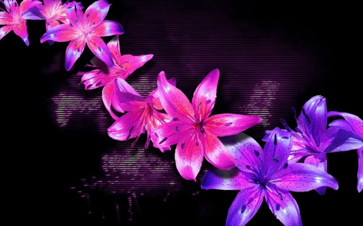 Очень красивые цветы на черном фоне