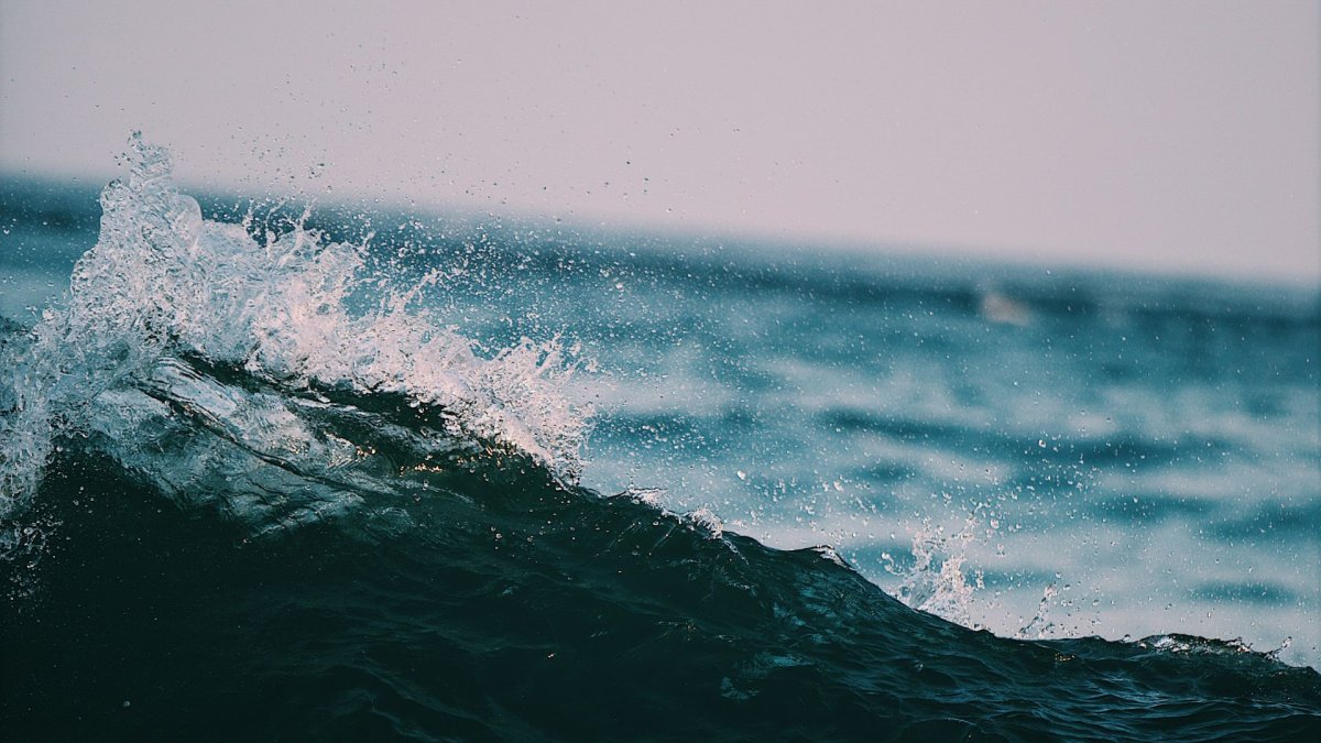 Океан Эстетика