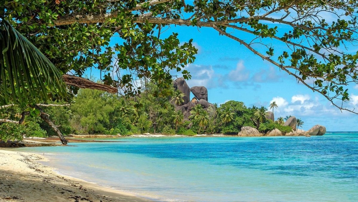 Сейшельские острова пляжи на острове Виктория