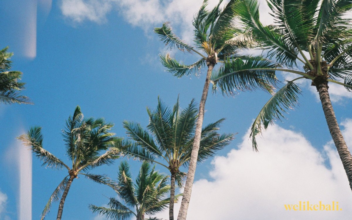 Обои на рабочий стол Бали