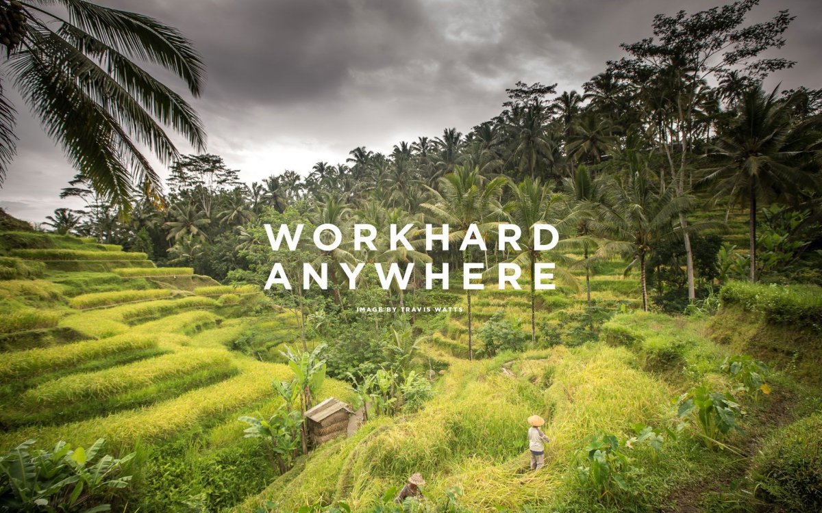 Work hard anywhere обои