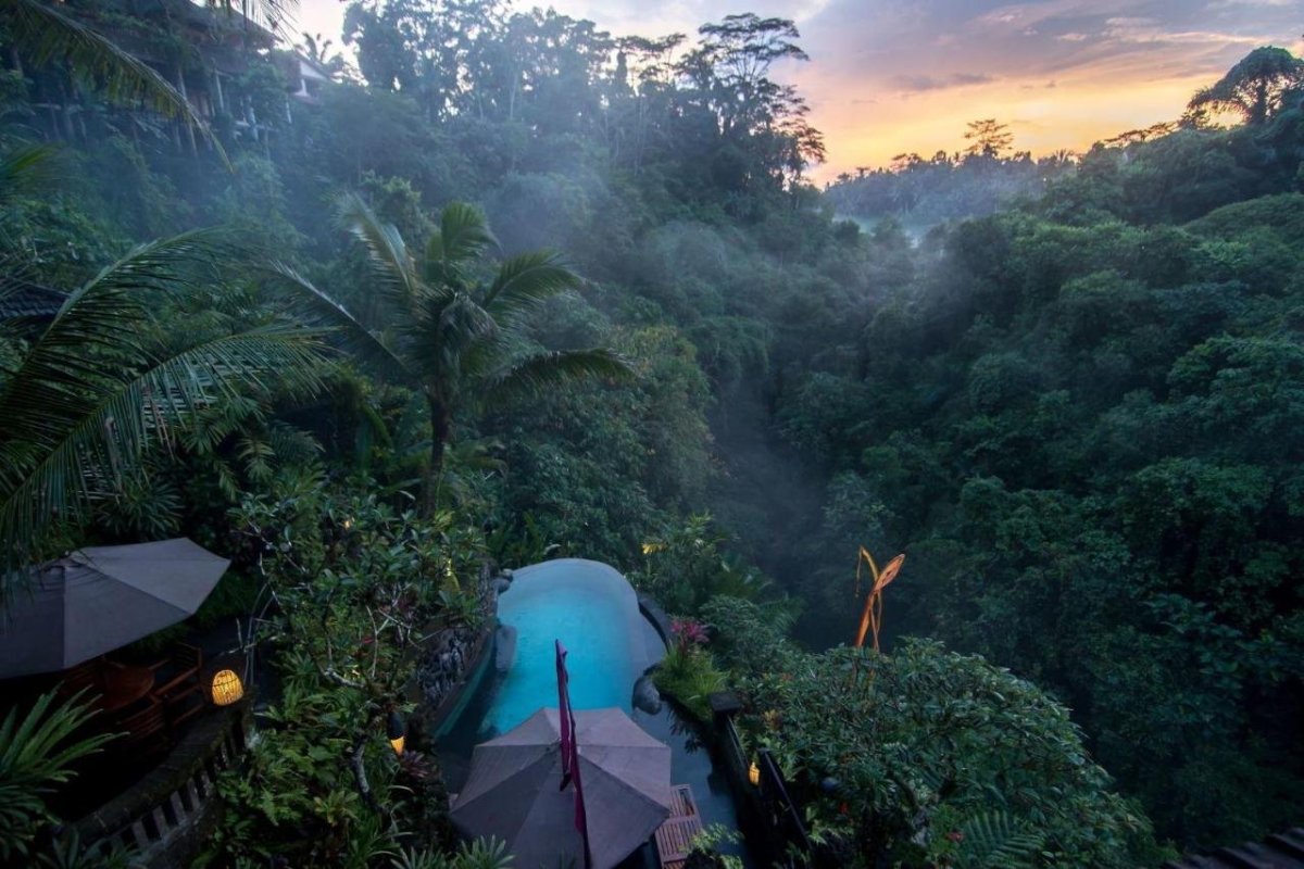 Бали Убуд джунгли