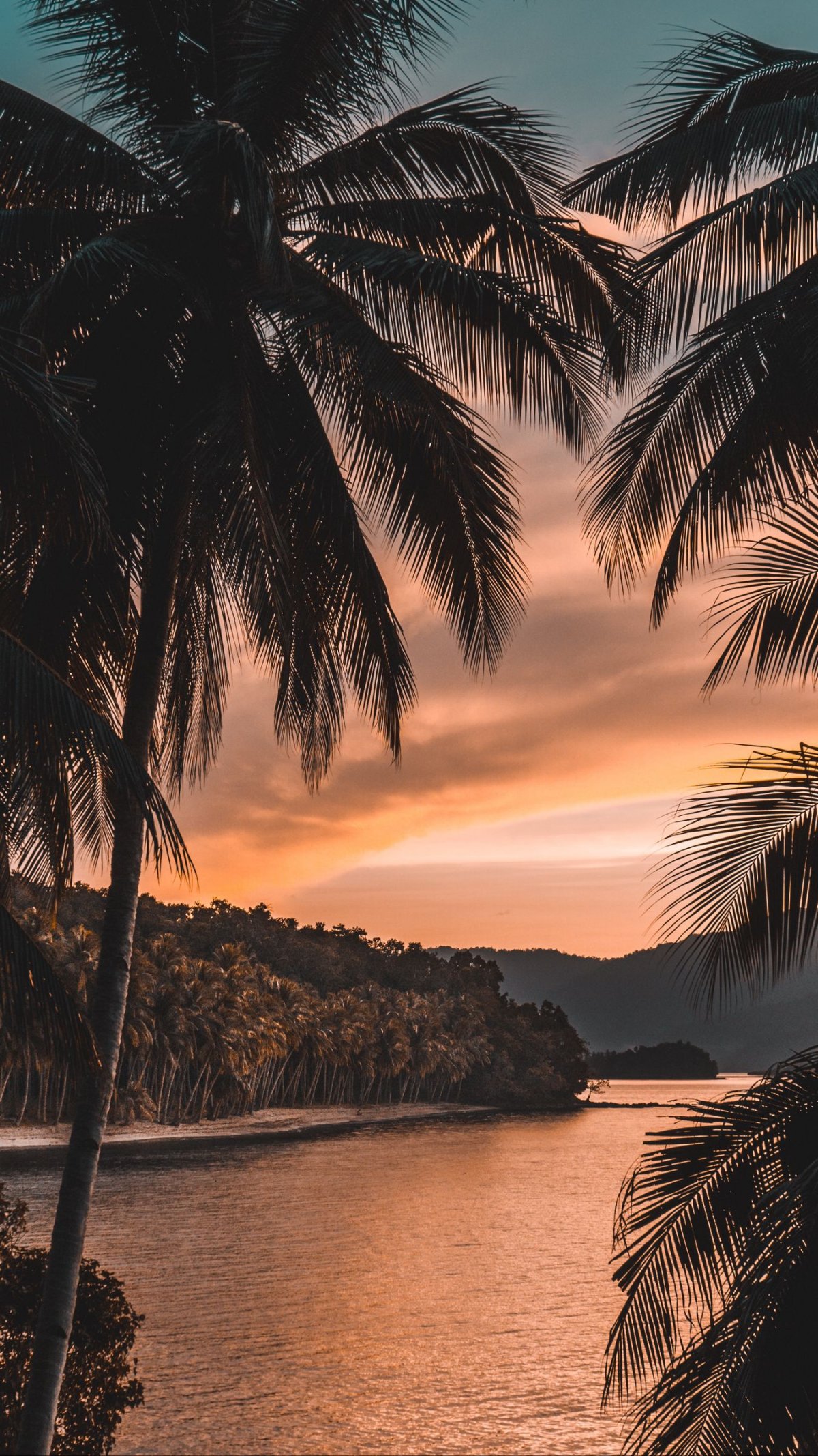 Тропический пейзаж