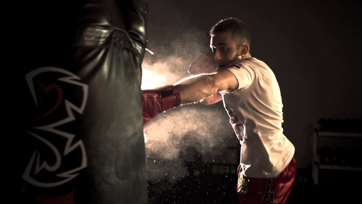 Обои для боксера