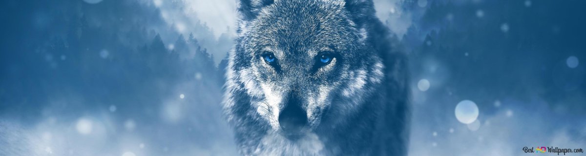 Вол шапка для канала