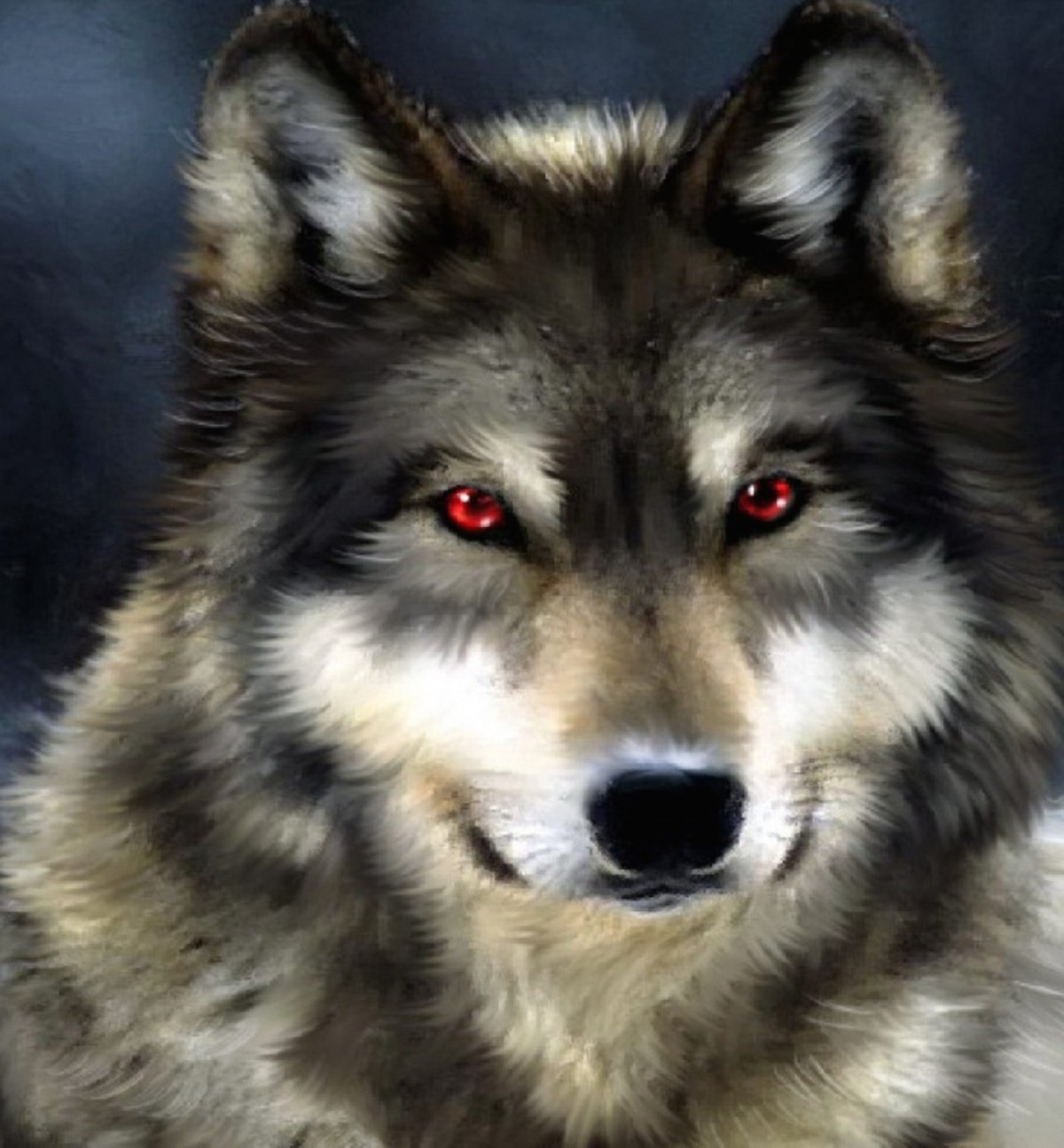 Волк Забайкалья