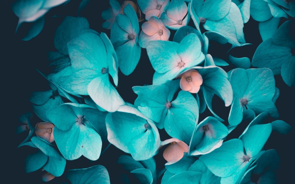 Фон акварель