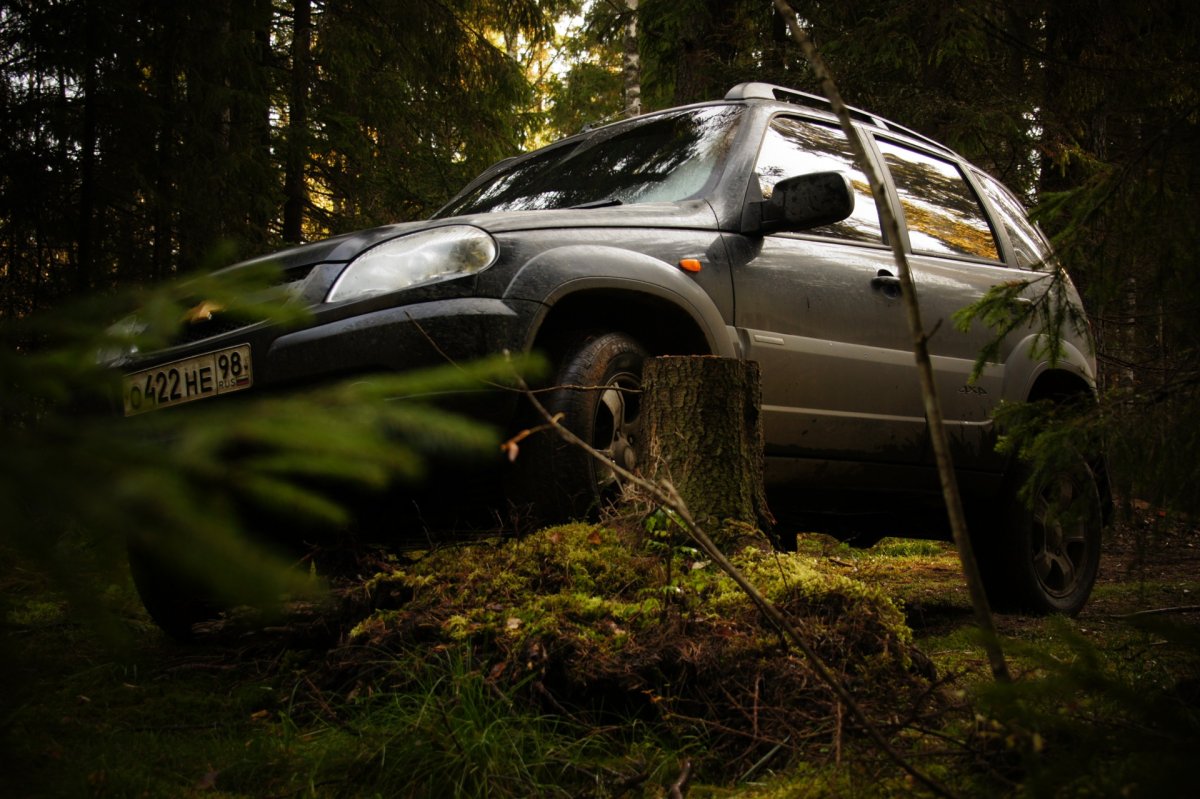 Chevrolet Chevrolet Niva 1.7 глушь