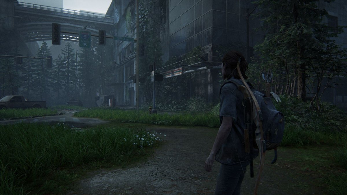 The last of us 2 Элли накаченная