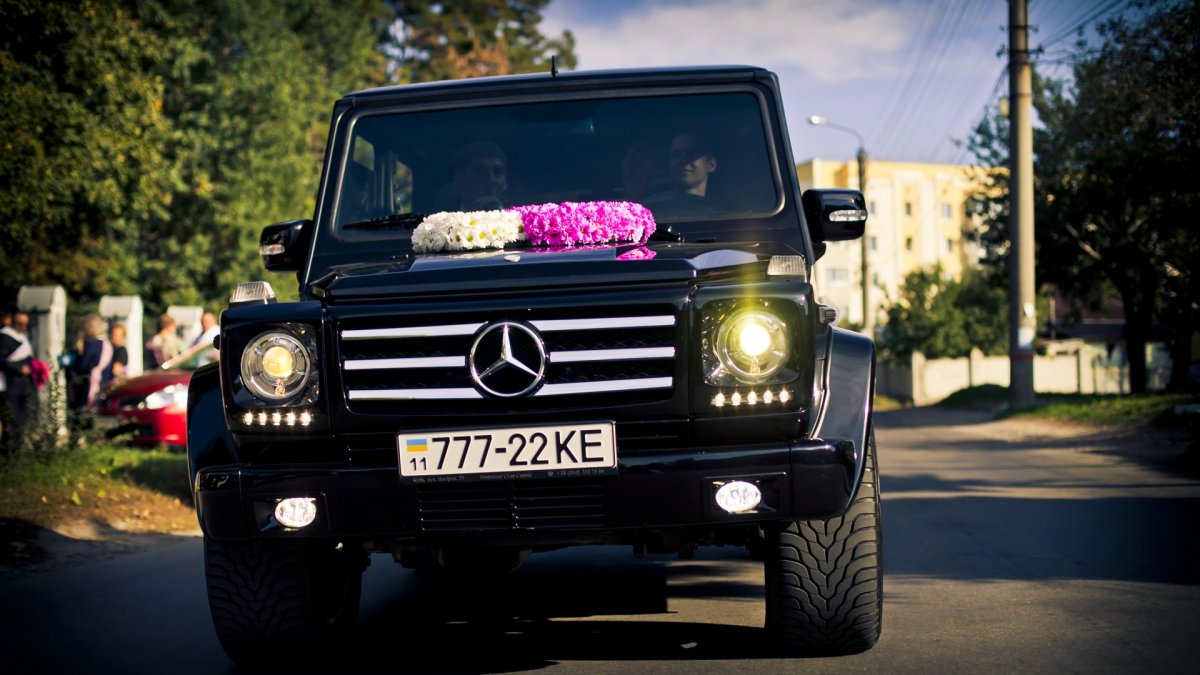 Белый Гелик 65