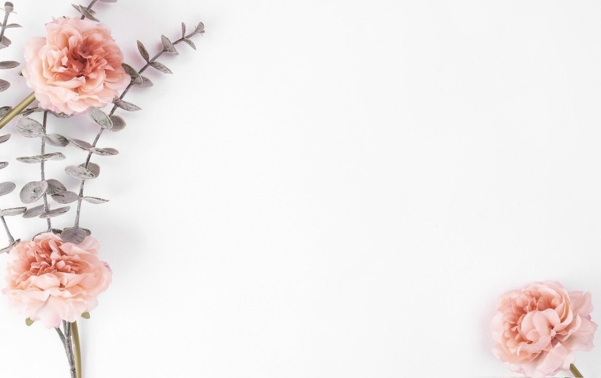 Цветы Минимализм