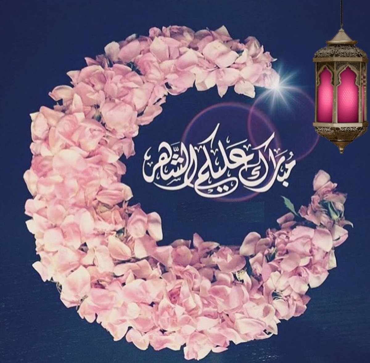 Сабр с цветами