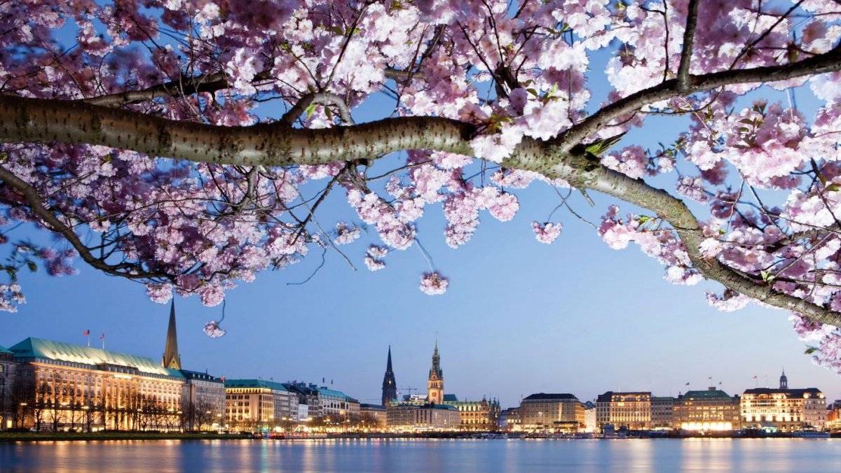 Весна в городе