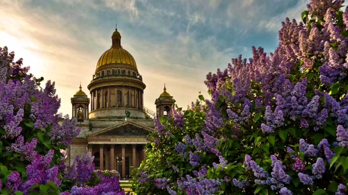 Весна Петербург деревья