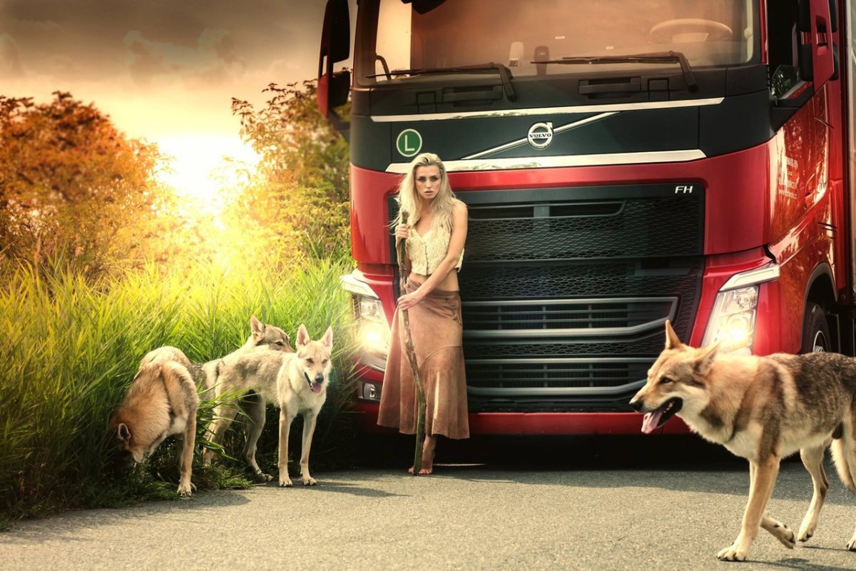 Арты грузовиков