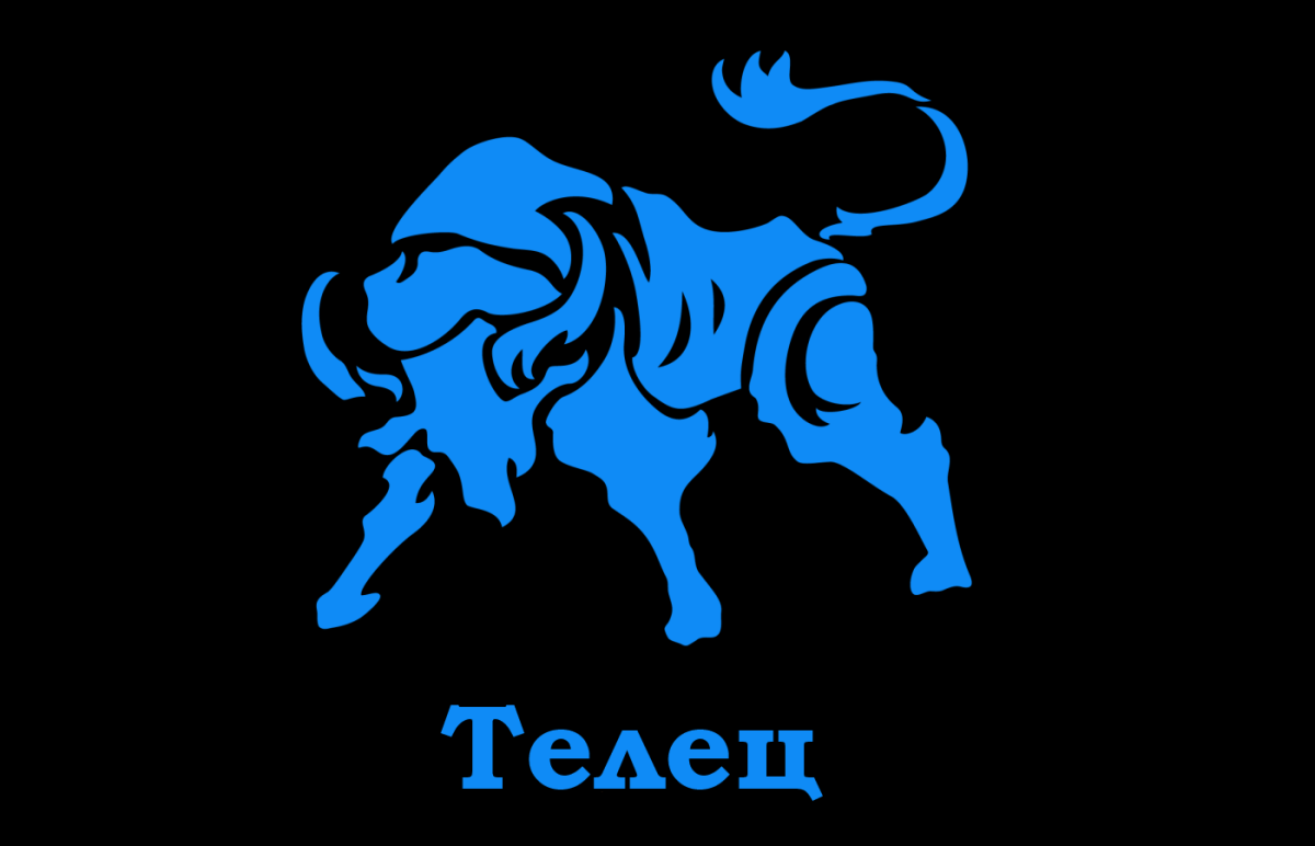 Обои с красивым тельцом