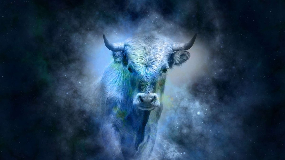 Таурус бык Телец