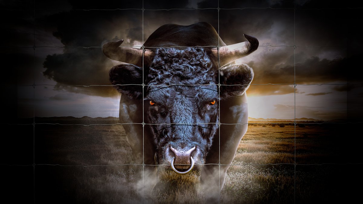 Адимирон демон Тельцов