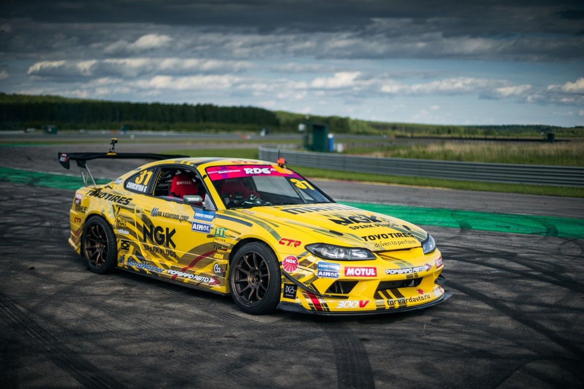 Слива Гочи 2019