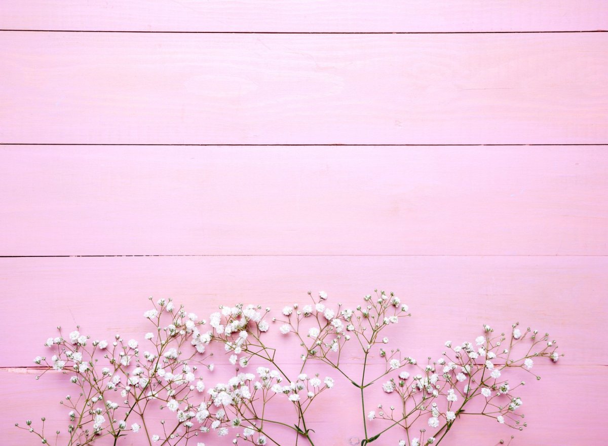 Фотофон в пастельных тонах