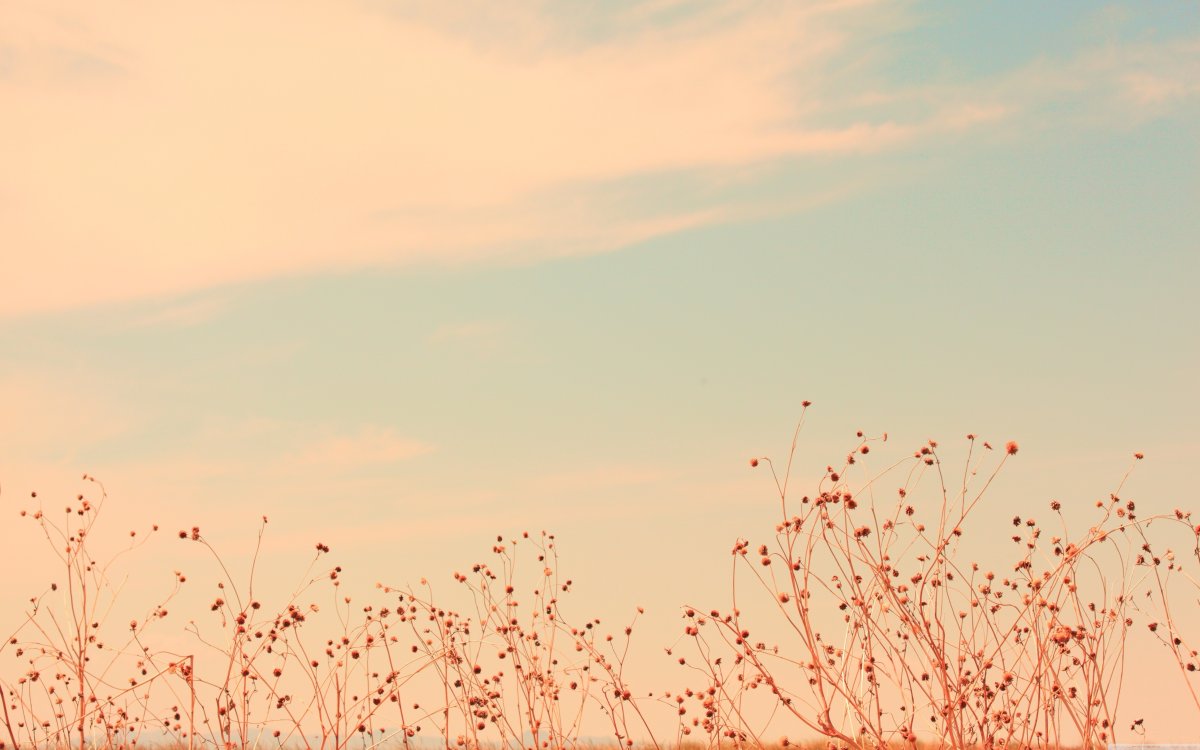 Фон пастельные тона